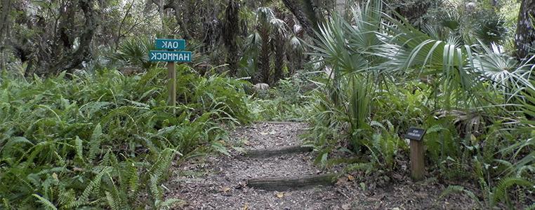 Audubon-Pennington Nature Trail